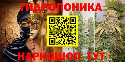 стаф Краснодар