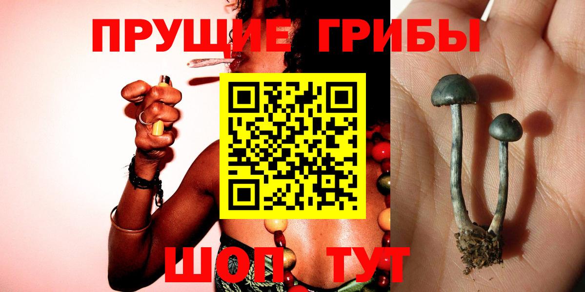 Псилоцибиновые грибы Magic Shrooms  Псилоцибиновые грибы мицелий  Дубна  Вход с VPN 